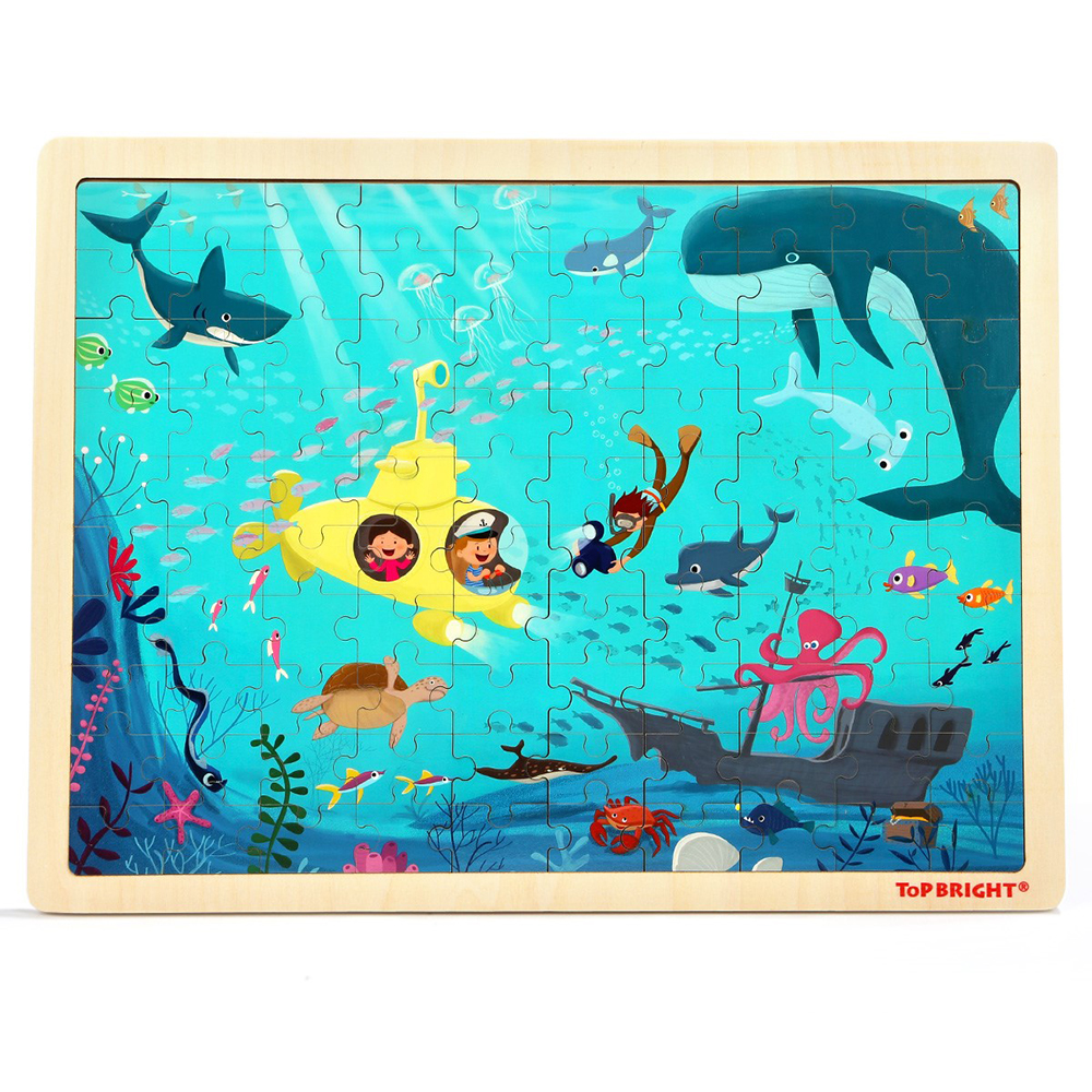 Underwater Wooden Gear Puzzle