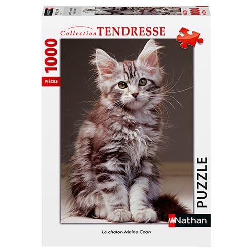 1000 Pieces Puzzle - The Maine Coon Kitten
