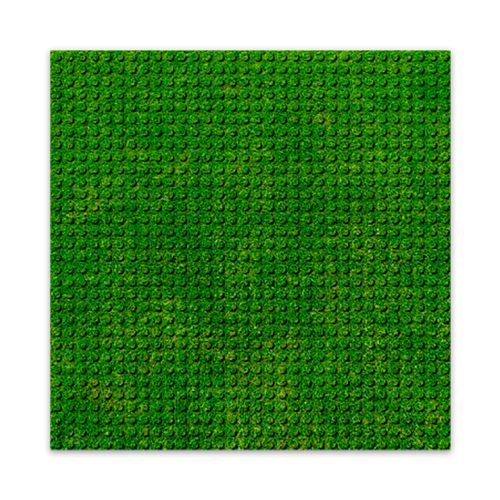 Brixies - Plaque de construction gazon 25cm