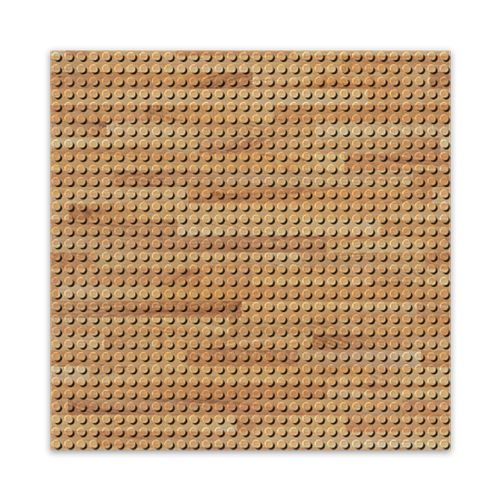 Brixies - Plaque de construction bois 25cm