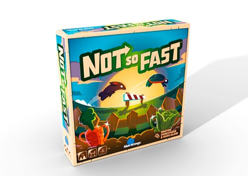 Jeu Not so Fast