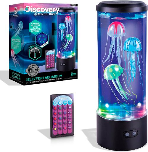 Discovery - Aquarium de méduses
