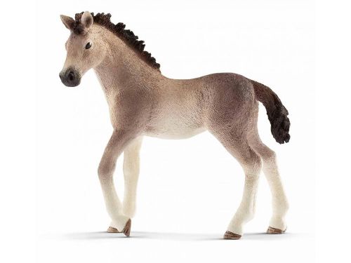 Horse Club - Andalusian Foal
