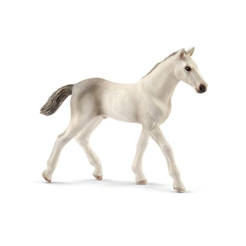 Horse Club - Holsteiner Foal