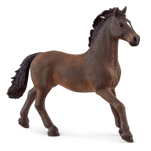 Horse Club - Oldenburg Stallion