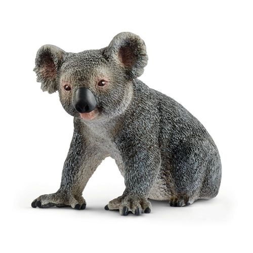 Wild Life - Koala