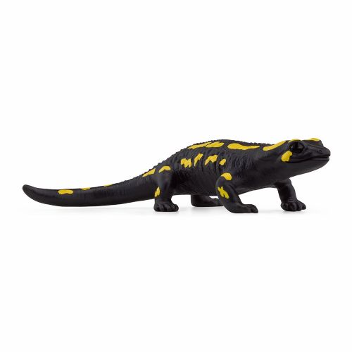 Wild Life - Fire Salamander