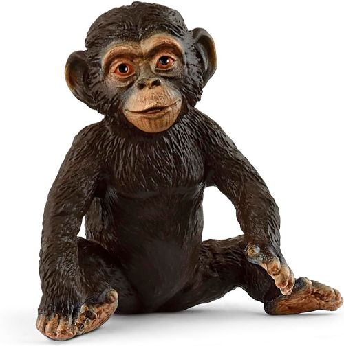 Wild Life - Chimpanzee cub