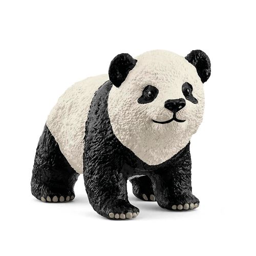 Wild Life - Giant panda cub