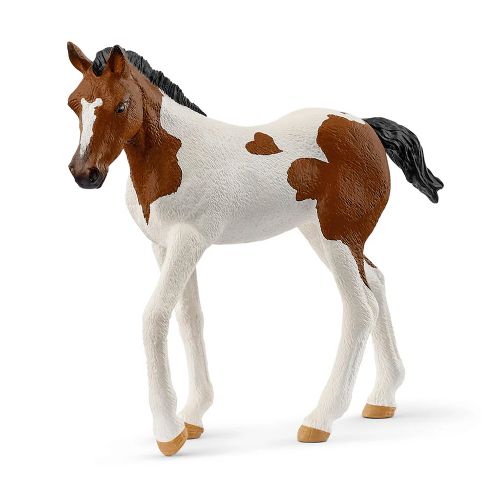 Horse Club - Paint Horse Foal