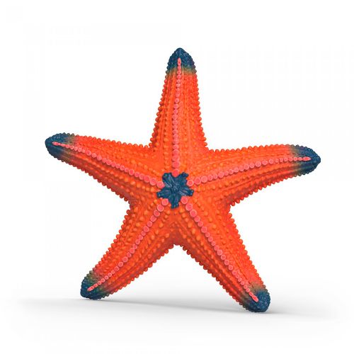 Wild Life - Starfish (color change)