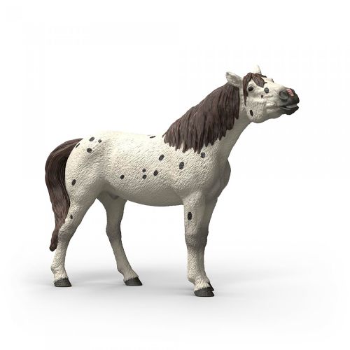 Horse Club - Knabstrupper gelding