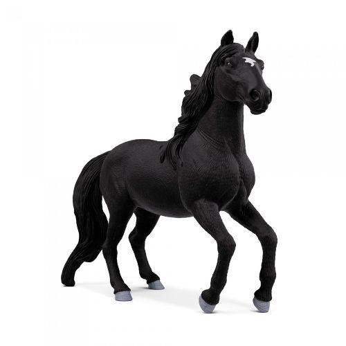 Horse Club - Lusitano stallion