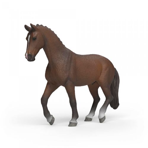 Horse Club - KWPN gelding