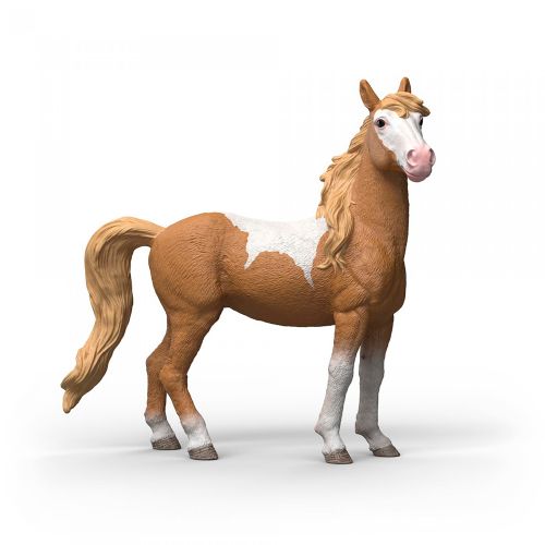 Horse Club - Mustang mare