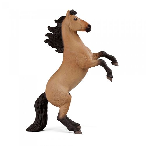 Horse Club - Mustang stallion