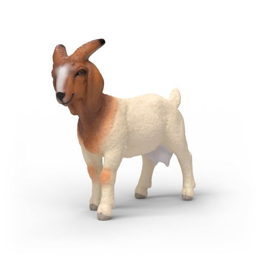 Farm World - Boer goat