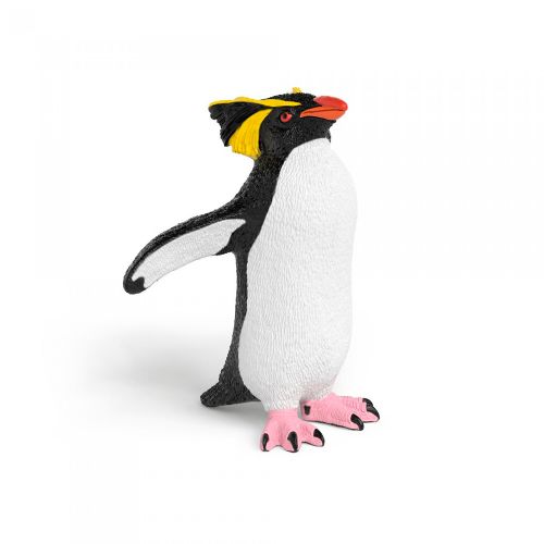 Wild Life - Rockhopper penguin