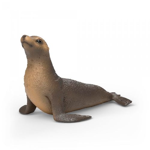 Wild Life - Sea lion