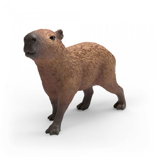 Wild Life - Capybara