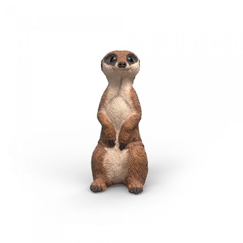 Wild Life - Meerkat