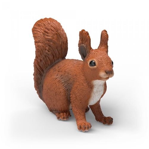Wild Life - Squirrel