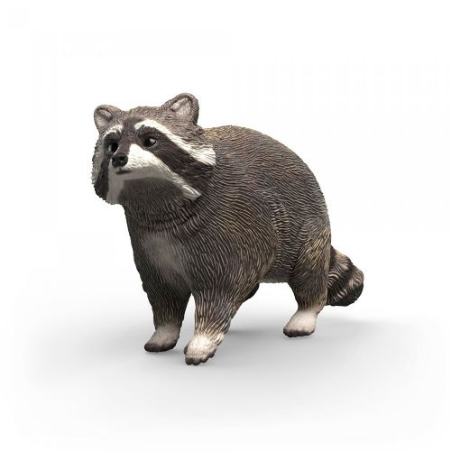 Wild Life - Raccoon
