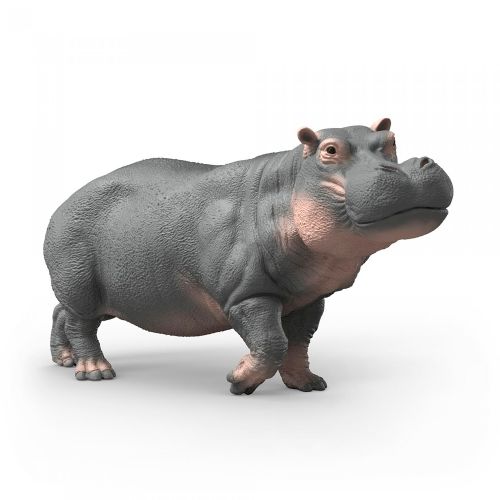 Wild Life - Hippopotamus