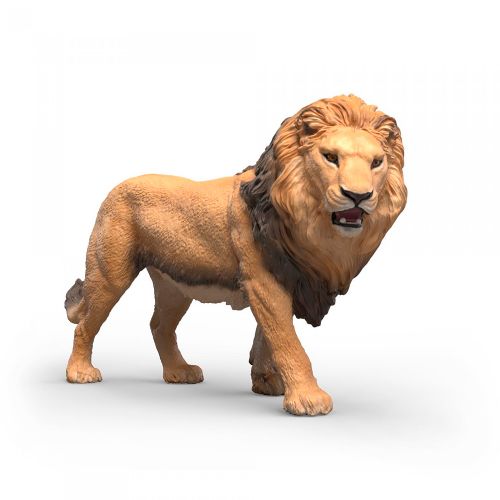 Wild Life - African lion