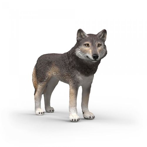 Wild Life - American wolf