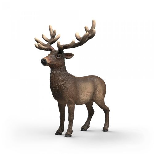 Wild Life - Elk