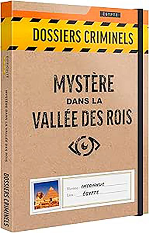 Jeu Dossiers Criminels: Mystère dans la Vallée des Rois Version française