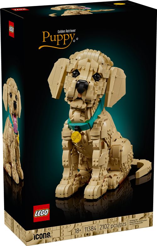 Lego Icons - Chiot Golden Retriever