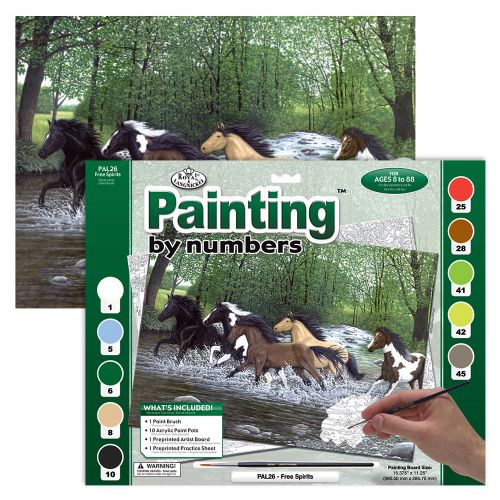 Peinture à numéros Adulte large - Esprits libres