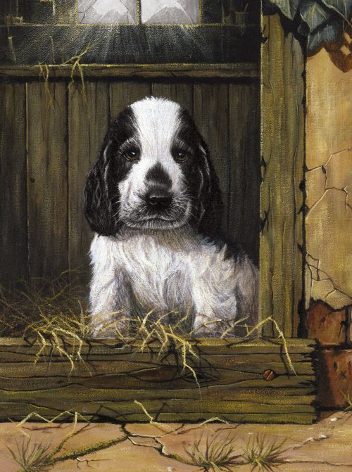 Peinture à numéros junior small - Chiot Épagneul