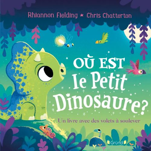 Livre - Où est le petit Dinosaure? - Version française