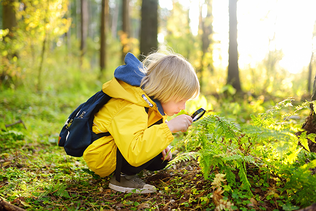 image d'un enfants qui explore la nature